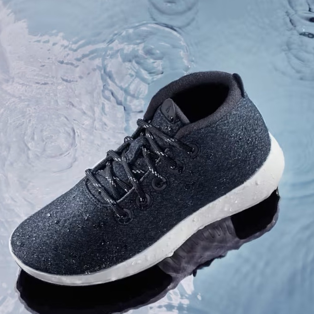All Birds ‘Wool Runners’
